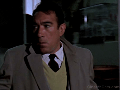 Portrait in Black - Dr. Rivera Anthony Quinn looking at Siamese cat in pet shop window animated gif