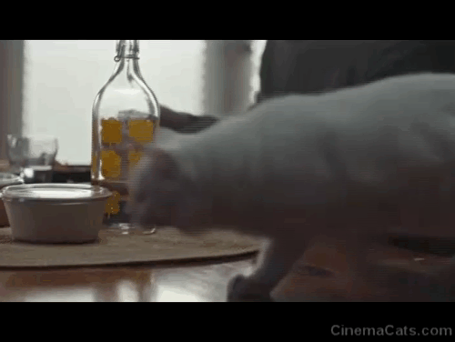 Possesor - white cat being lifted off kitchen table animated gif