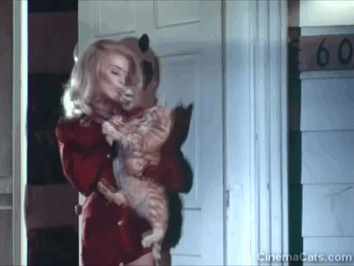 The Psycho Lover - ginger tabby cat Oscar being set down awkwardly outside door by Patricia Diane Jones animated gif