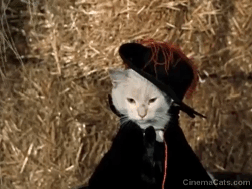 Puss in Boots - El gato con botas - Juanito Humberto Dupeyrón shocked to see white cat change into Santanon wearing cat costume animated gif