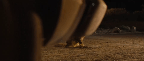 Red Dog - longhair brown and white tabby cat Red Cat swiping at hand of John Josh Lucas animated gif