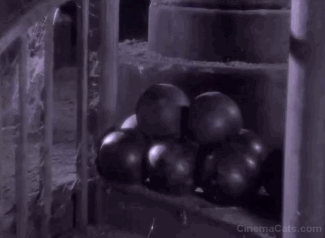 The Red Mill - black cat being dropped onto cannon balls animated gif