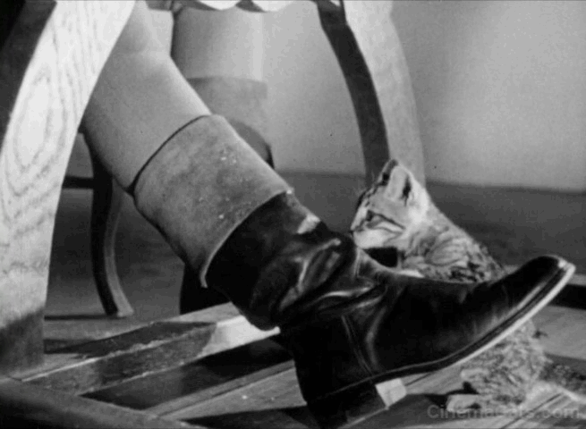 Reign of Terror - kitten being flung by soldier's boot