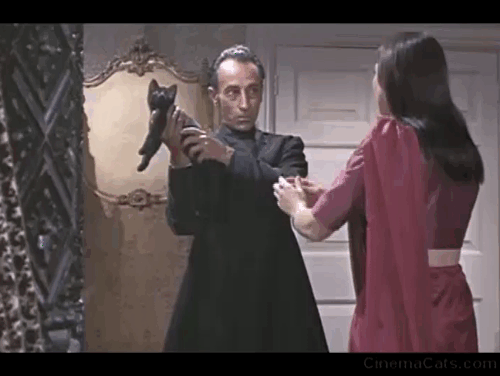 The Reptile - Anna Jacqueline Pearce begs for black kitten Katie from Malay Marne Maitland animated gif