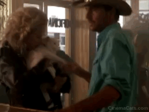 Revenge - rock star Sally Kellerman hugging long-haired white cat Precious who has claw in finger bandage of Michael Cochran Kevin Costner animated gif