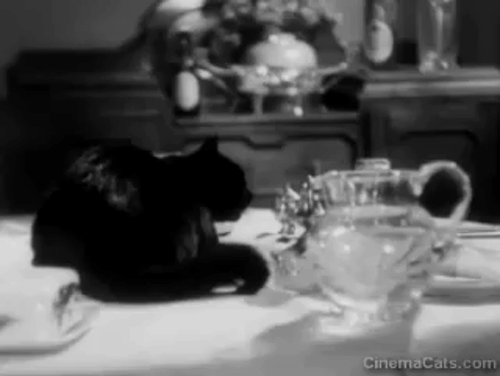 Rich and Strange - Fred Henry Kendall throws newspaper at black cat eating on table