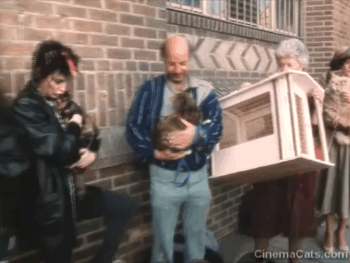 The Richest Cat in the World - long line of people holding cats waiting animated gif