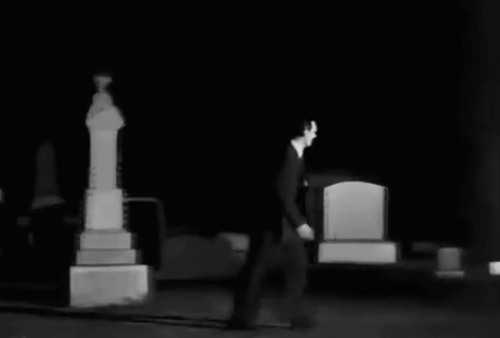 Ring of Terror - Dobson Joseph Conway looking for tuxedo cat Puma in graveyard animated gif