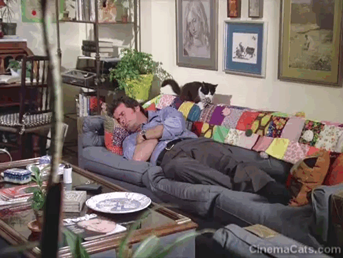 The Rockford Files - Chicken Little is a Little Chicken - tuxedo cat licking pom pom then jumping off back of couch over Jim Rockford James Garner animated gif