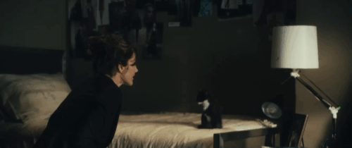 The Roommate - Sara Minka Kelly chasing after tuxedo kitten Cuddles with Rebecca Leighton Meester and resident assistant Jennifer Cadena animated gif