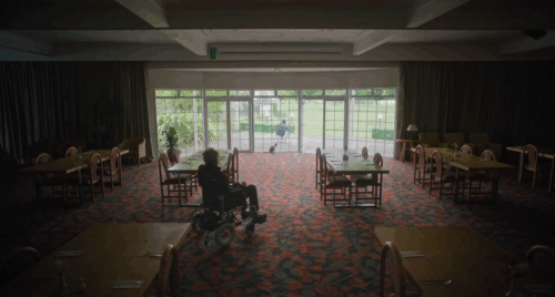 The Rule of Jenny Pen - Judge Mortensen Geoffrey Rush in wheelchair approaching longhair calico cat Pluto Marbles by window animated gif