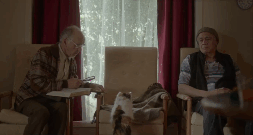 The Rule of Jenny Pen - longhair calico cat Pluto Marbles jumping into chair with two nursing home residents moving away animated gif