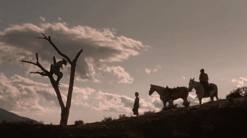 Rustler's Rhapsody - Rex Tom Berenger rescuing small Siamese kitten from tree to give to girl animated gif