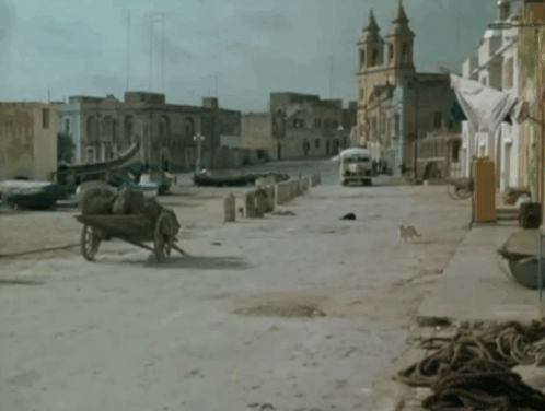 The Saint - Vendetta for the Saint, Part Two - Simon Templar Roger Moore running as bus approaches ginger cat and dogs on street animated gif