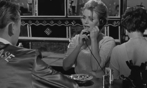 Schwarzer Kies - tuxedo cat behind Elli Anita Höfer animated gif