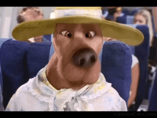 Scooby-Doo - Scooby smells cat and barks at white Angola cat hissing in woman's lap on plane animated gif