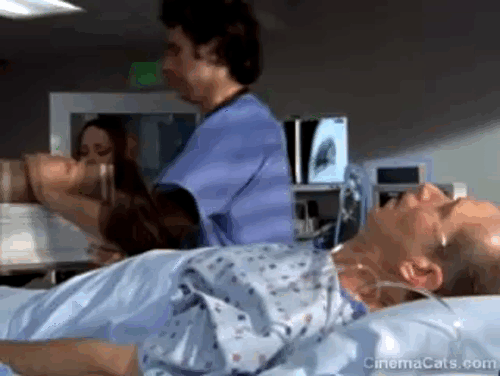 Scrubs - My House - Dr. Dorian Zach Braff pouring box of kittens over male patient animated gif