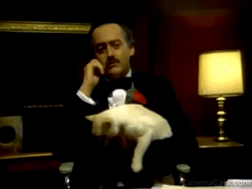 SCTV - The Godfather - Guy Caballero Joe Flaherty with white cat in arms animated gif