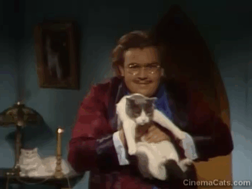 SCTV House of Cats - Dr. Tongue John Candy moving gray and white cat Alicia in and out of camera 3D effect animated gif