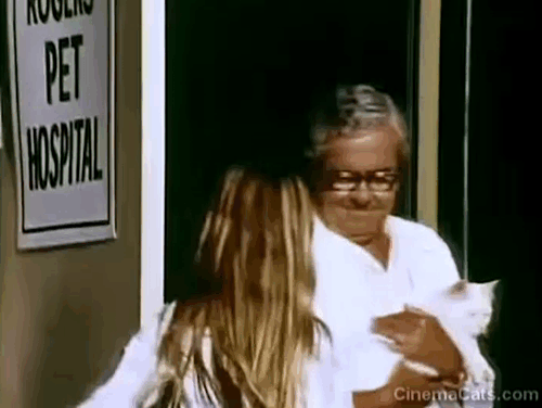 The Secrets of Isis - Lucky - Dr. Roberts Robert Forward handing white cat Stuart to girl Bobbi animated gif