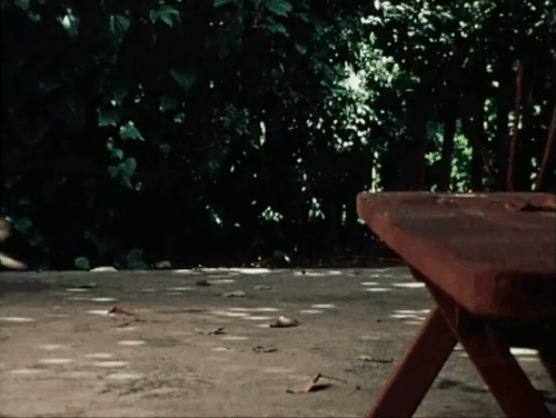 The Secret Lives of Waldo Kitty - Cat Man - bulldog Tyrone chasing ginger and white cat Waldo Kitty and making Mr. Wetzel trip animated gif