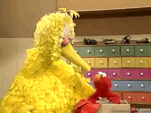 Sesame Street - Episode 2383 Stray Kitten - Elmo pushing gray tabby kitten back into box with nose with Big Bird animated gif