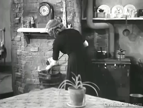Seventh Heaven - black cat Rosette jumping on table and startling Diane Simone Simon animated gif