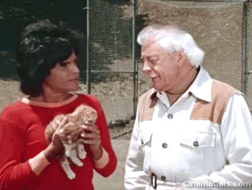 Shazam - The Sound of a Different Drummer - ginger tabby kitten Polecat pushed by Billy Batson Michael Gray toward Mentor Les Tremayne animated gif
