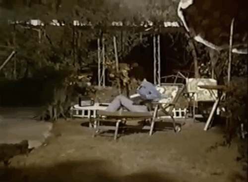 The Sheriff - black cat runs toward house as Janet Brenda Sykes takes dish animated gif