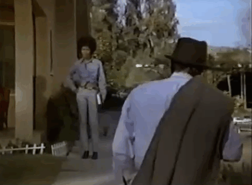 The Sheriff - ginger tabby and white cat at food bowl behind Janet Brenda Sykes and Walters Ross Martin animated gif