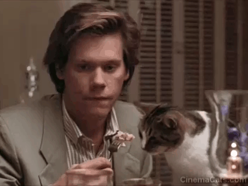 She's Having a Baby - Jake Kevin Bacon sitting at table with cat eating from fork animated gif