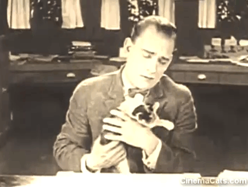 The Shock - Wilse Dilling Lon Chaney setting calico kitten onto desk animated gif