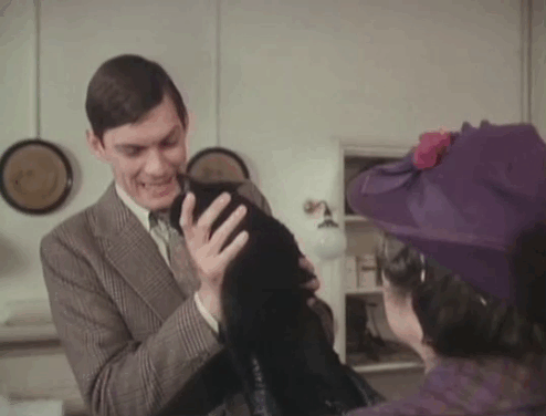 It Shouldn't Happen to a Vet - tuxedo cat Seven Times Three pawing at Carmody Paul Shelley face with Mrs. Bond Marjorie Sudell animated gif