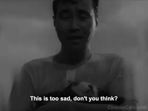 Shozo, a Cat and Two Women - Shozo Hisaya Morishige holds white and calico cat Lily in rain animated gif