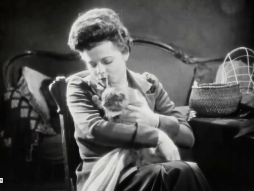 Silence - Norma Vera Reynolds cuddling with tabby cat animated gif