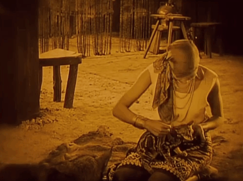 Siren of the Tropics - Papitou Josephine Baker brushing little tabby cat with dog Bamboula animated gif