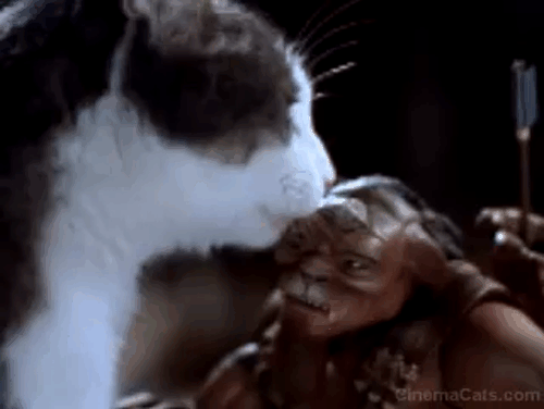 Small Soldiers - gray and white cat tabby licking Archer toy Gorgonite animated gif