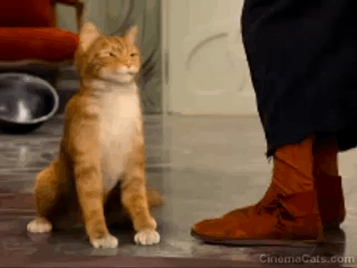 The Smurfs 2 - Azrael cat banging head on floor animated gif