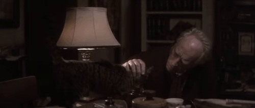 Snow Falling on Cedars - Nels Max von Sydow with brown tabby cat animated gif