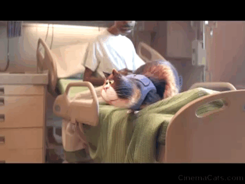 Soul - calico cat Mr. Mittens jumping off hospital bed with 22 as Joe animated gif