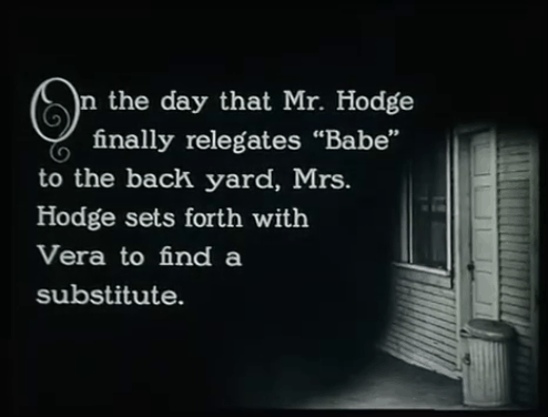 The Soul of Youth - Mr. Hodge Fred Huntley throwing longhair gray cat Babe out door on title card animated gif