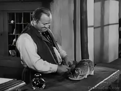Station West - hotel clerk Burl Ives picking up tabby cat from counter and setting it on floor animated gif
