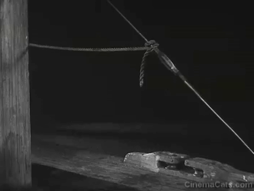 Steamboat Bill, Jr. - first and last mate Tom Lewis tossing tabby cat on deck and losing boot animated gif