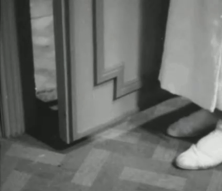 En stilla flirt - Diddi Tutta Rolf watches as terrier Chamo runs into room and barks at white cat Murre on top of wardrobe animated gif