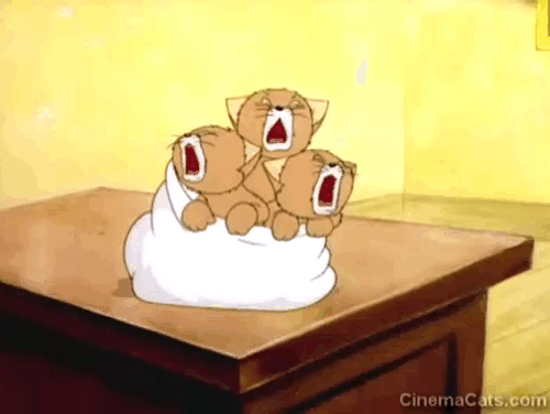 The Stork's Holiday - three cartoon kittens crying in bundle on table animated gif