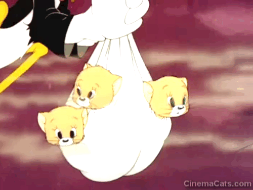 The Stork's Holiday - three cartoon kittens sniffing at smoke in bundle animated gif