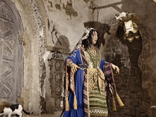 Die Geschichte vom kleinen Muck - The Story of Little Mook - Ahavzi Trude Hesterberg looking shocked with gray and white tabby cat jumping on head animated gif