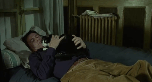 Histoire de Marie et Julien - The Story of Marie and Julien - Jerzy Radziwilowicz lying on bed with tuxedo cat Nevermore Gaspard animated gif