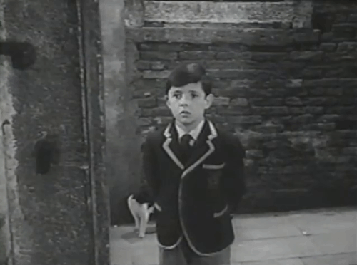 The Stranger's Hand - Roger Richard O'Sullivan standing with tuxedo cat behind him animated gif