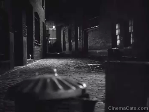 Street of Shadows - black cat climbing out of trash can and walking on cobbled street as opening credits come up animated gif